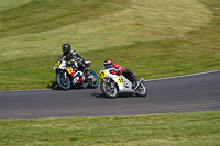 Vintage-motorcycle-club;eventdigitalimages;mallory-park;mallory-park-trackday-photographs;no-limits-trackdays;peter-wileman-photography;trackday-digital-images;trackday-photos;vmcc-festival-1000-bikes-photographs